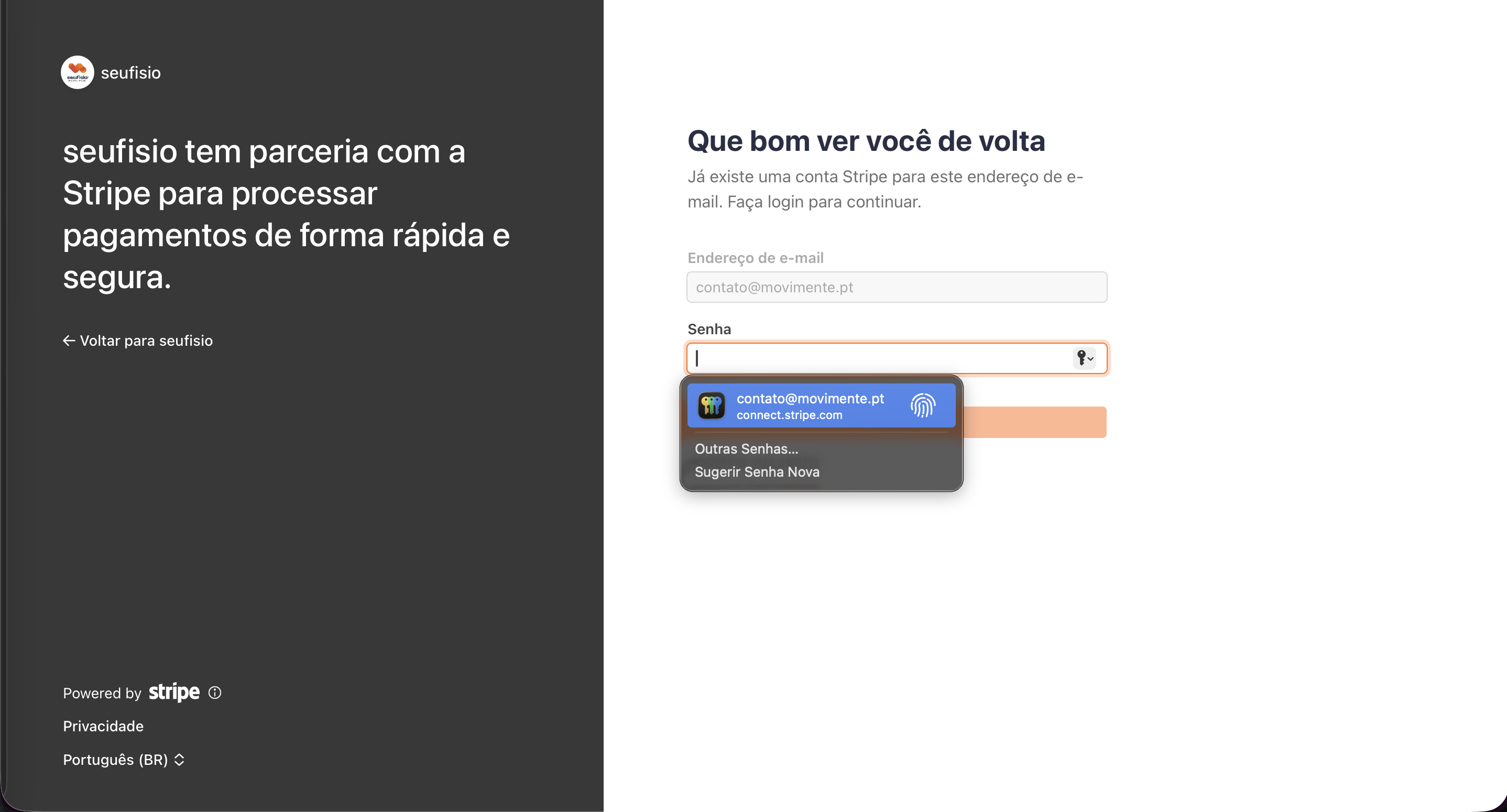 Ecrã do Stripe Connect aberto a partir do seufisio pay